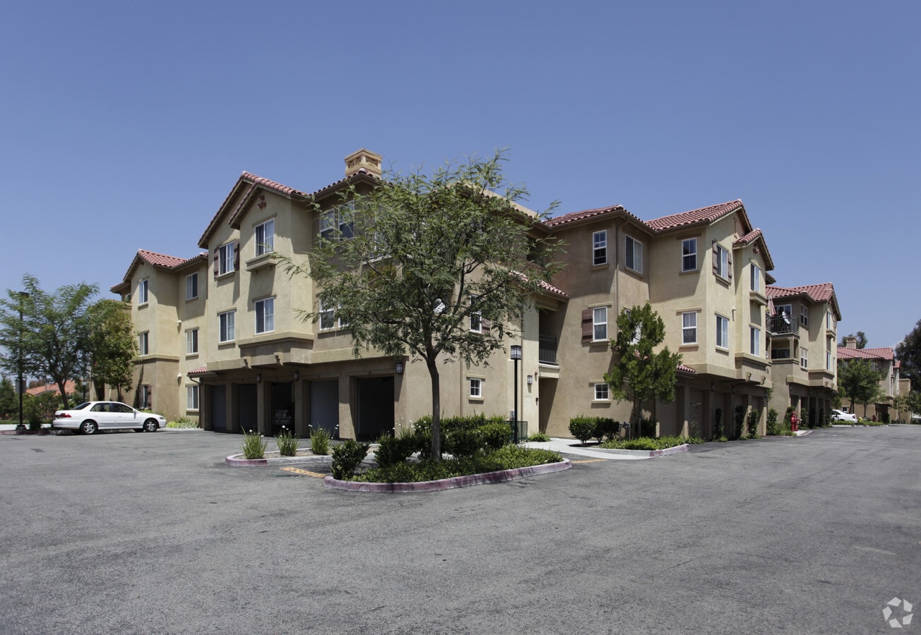 Windrow Apartments - Windrow Apartments
