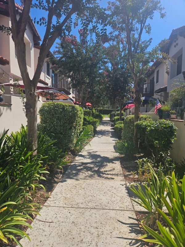 Photo - 501 E Bougainvillea Ln