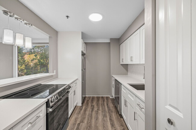 Kitchen 1 - Element 250