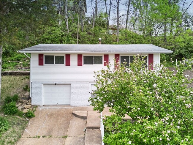 Photo - 63 Patricia Pl