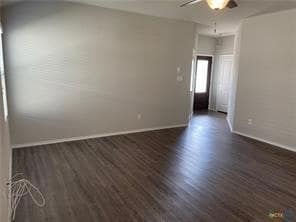 Photo - 2348 Arctic Warbler