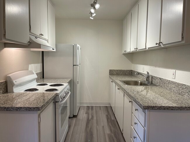 Kitchen - 1241 Morse Ave Unit 2