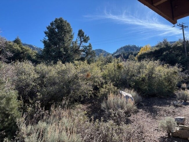 Photo - 2028 Linden Dr Unidad 1