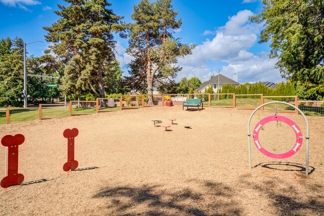 Photo - Boulder Creek