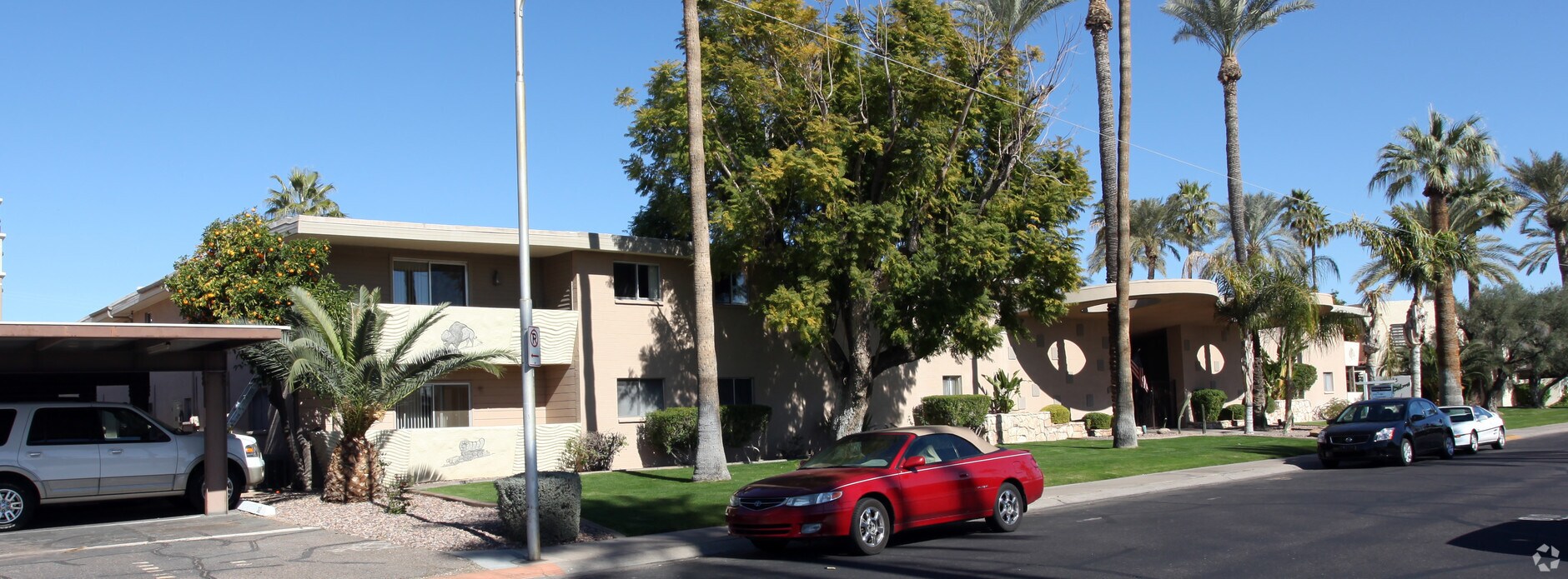 Photo - Scottsdale Palms