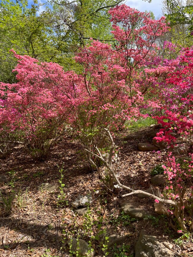 Photo - 6662 Van Winkle Dr Unit Studio