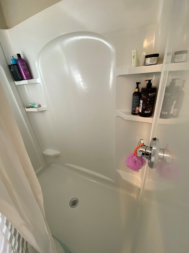 Shower. No tub. - 284 Central St Unit 2