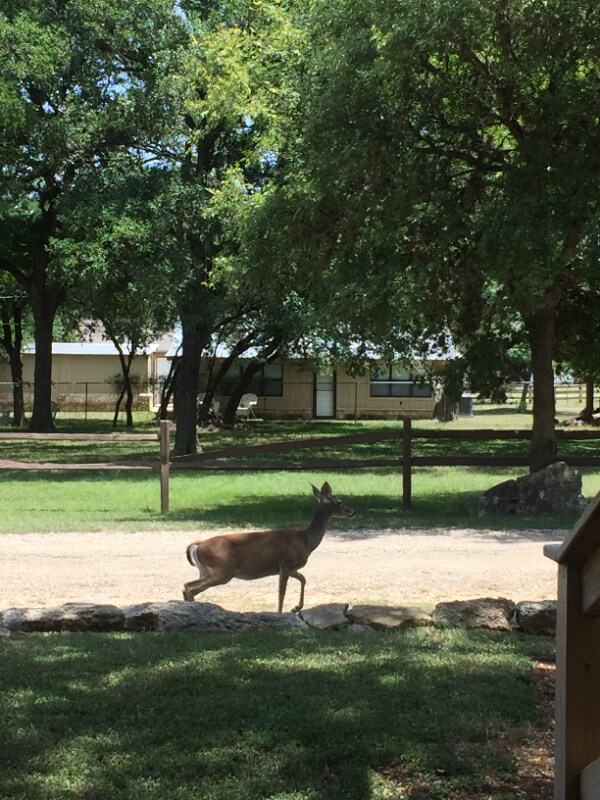 16 El Conejo Trail Apartment Wimberley, TX