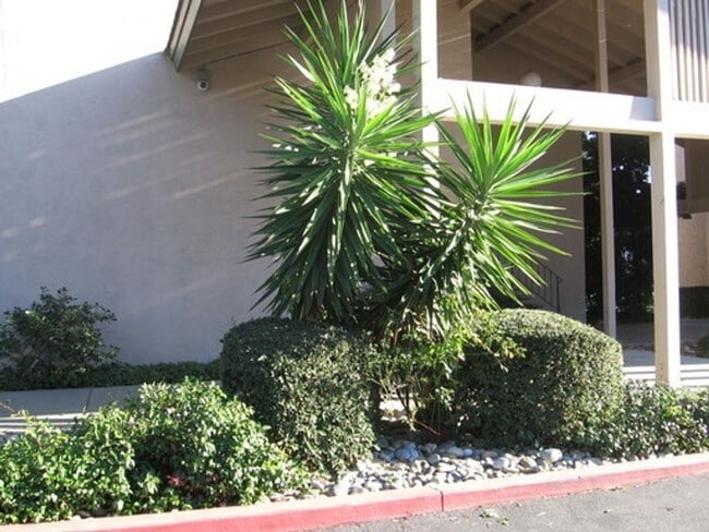 Photo - BEAUTIFUL 1 BEDROOM X1 BATHROOM CONDO!!! NOW LEASING!!! Unidad 4888 Clayton Rd #5