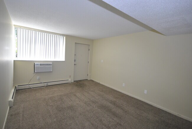 Flat Living Room - 520 N Ashley St