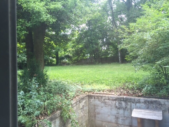 large yard - 2221 Center Ave Unit A