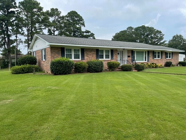 Photo - Darling on Deborah