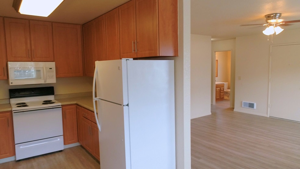New, modern appliances