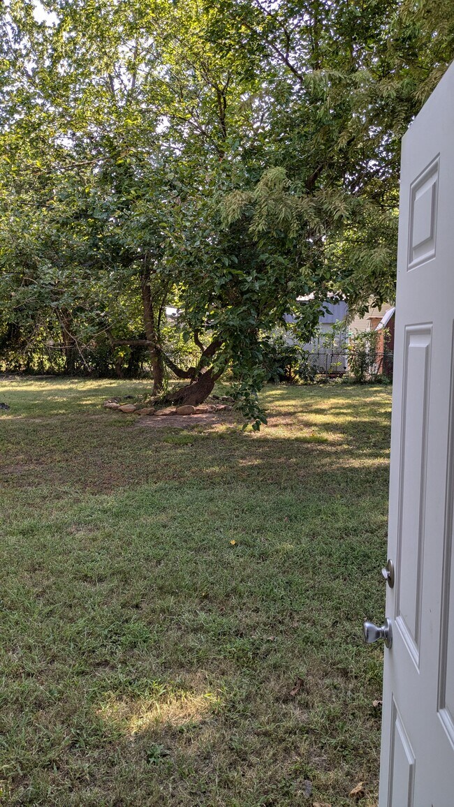 Backyard - 3500 Wilma Ave