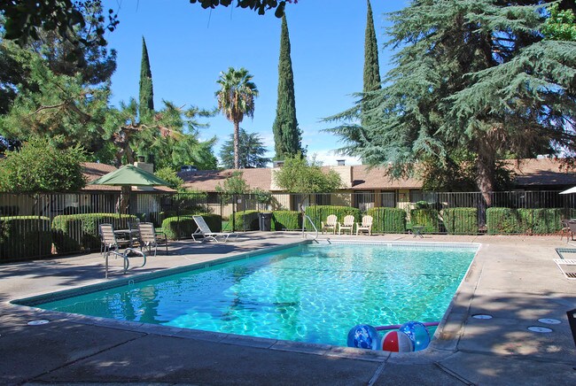 Photo - Yardley Gardens