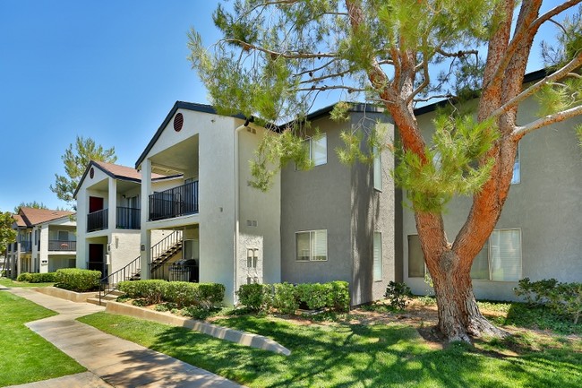 Courtyard - Town Square Apartments