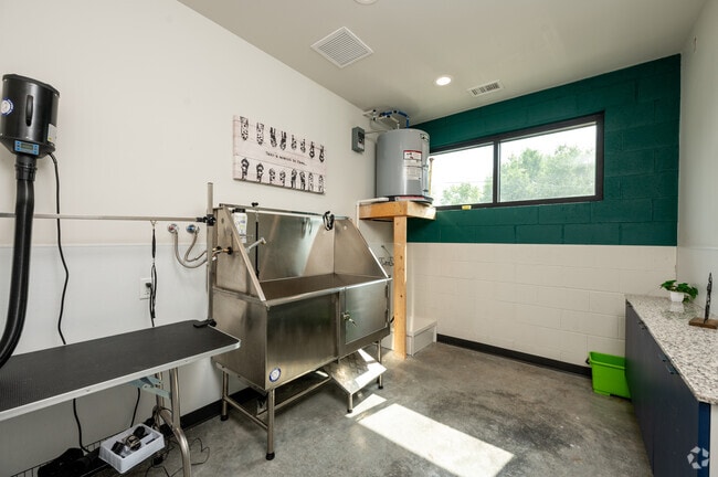 Pet Spa