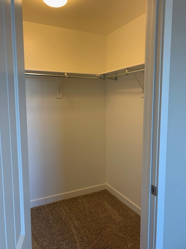 Walk-in Closet - 3657 W Sunrise Sky Ln