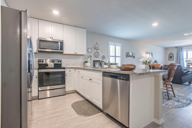 Photo - 2527 Pechora Pipit