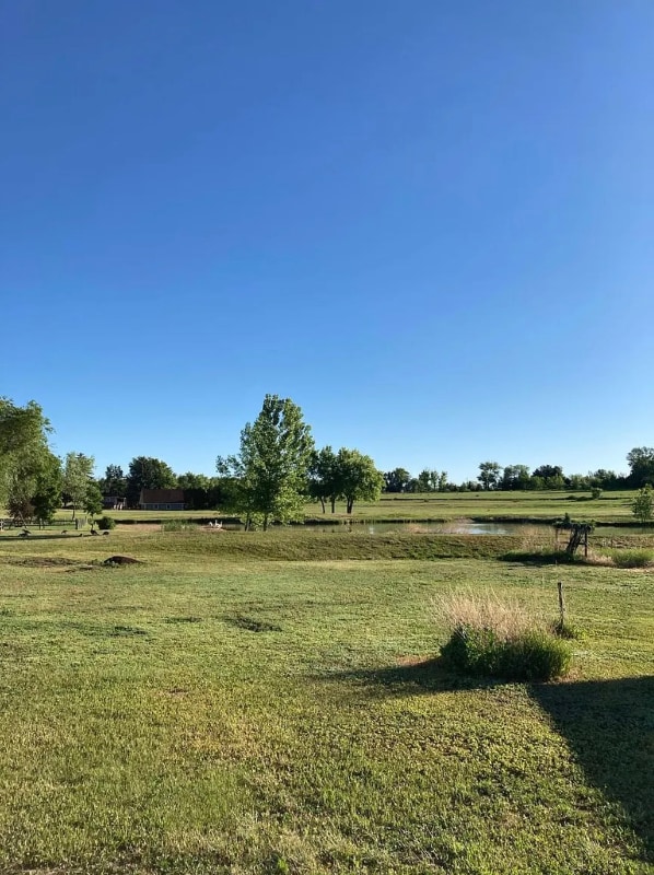 Photo - 2636 Terry Lake Rd