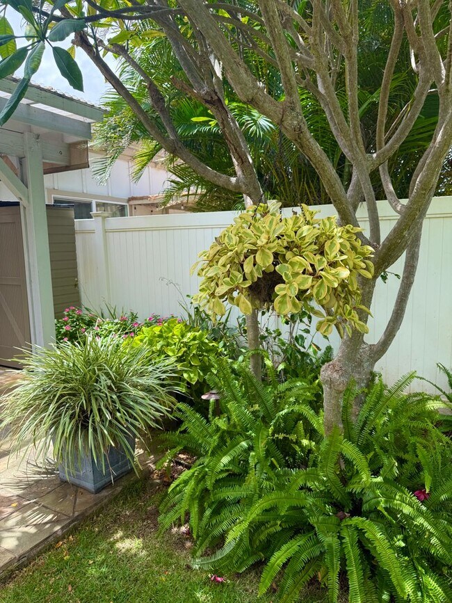 Photo - Welcome home to Kehalani Gardens