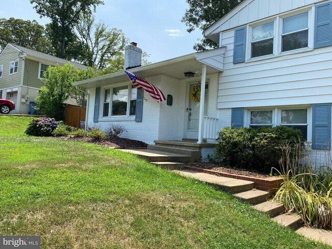 Photo - Show stopper