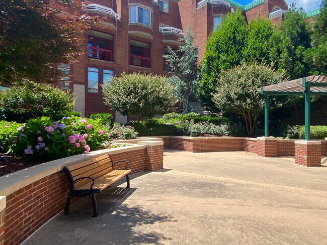 Patios parquizados - 24 Courthouse Sq Unidad 512