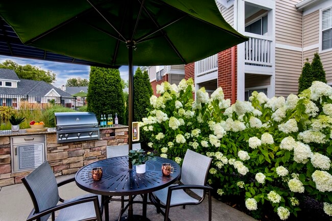 Outdoor grill and chef's kitchen
