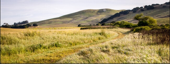 Photo - 231 Goldback Ct