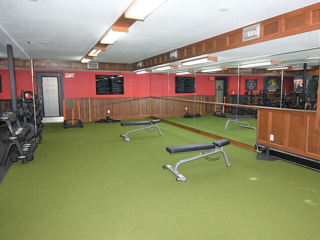Lots of Weight Equipment