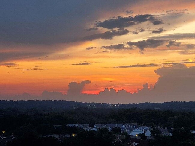 Photo - 203 Yoakum Pky Unit 1807