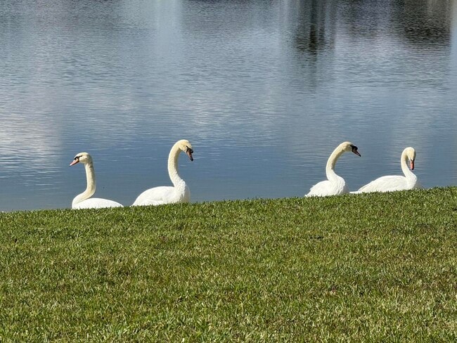 Photo - 8913 SW Chevy Cir