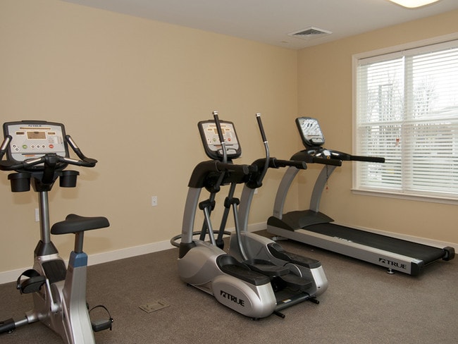 Cardio Equipment