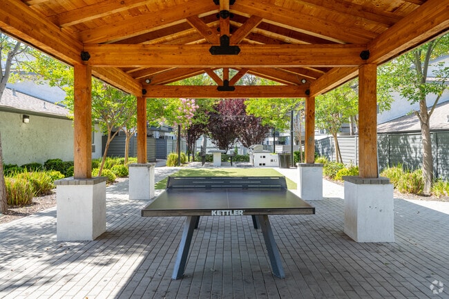 Table Tennis