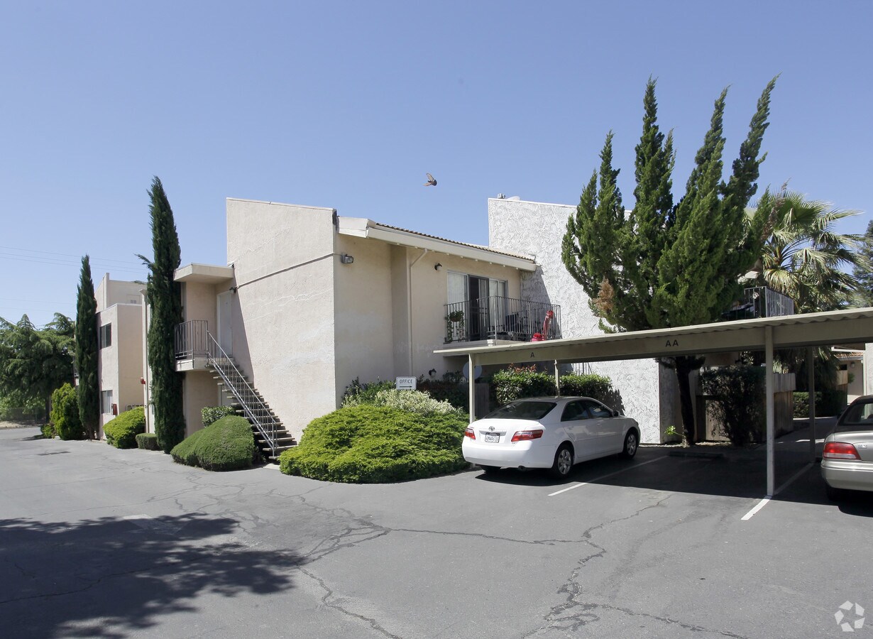 Evergreen Villa - Evergreen Villa