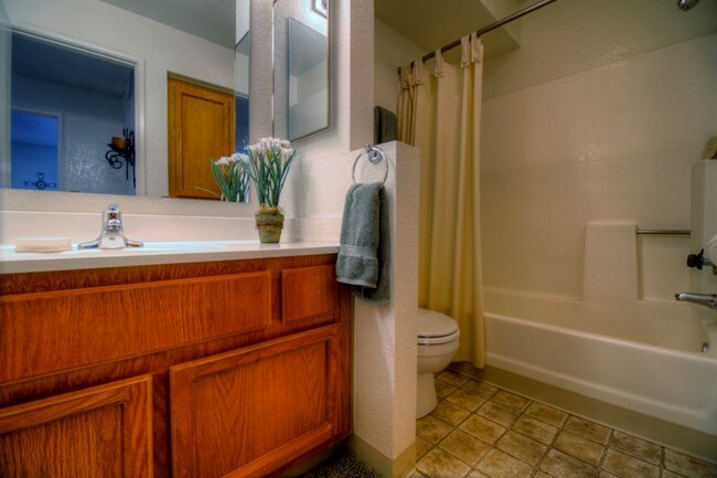 1 Bed 1 Bath Bathroom