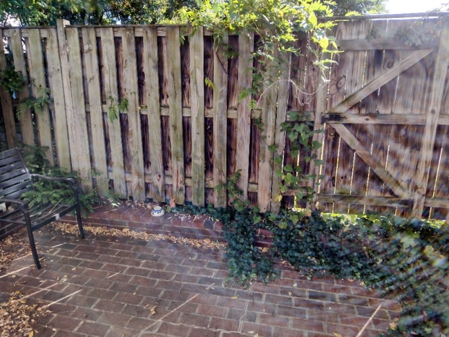 Photo - 617 N Henry St Unidad 1