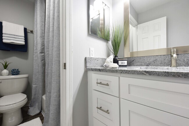 Granite counters in bathroom