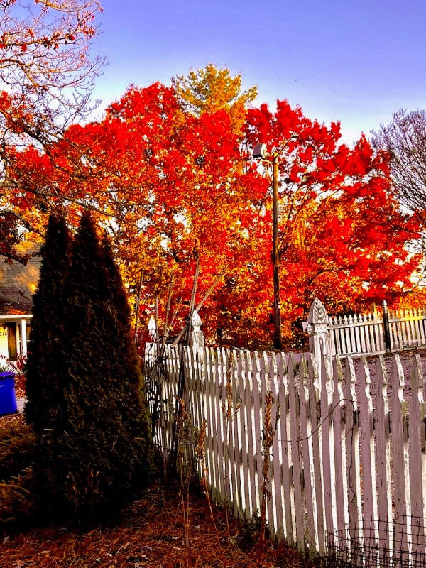 Photo - 306 Davis St