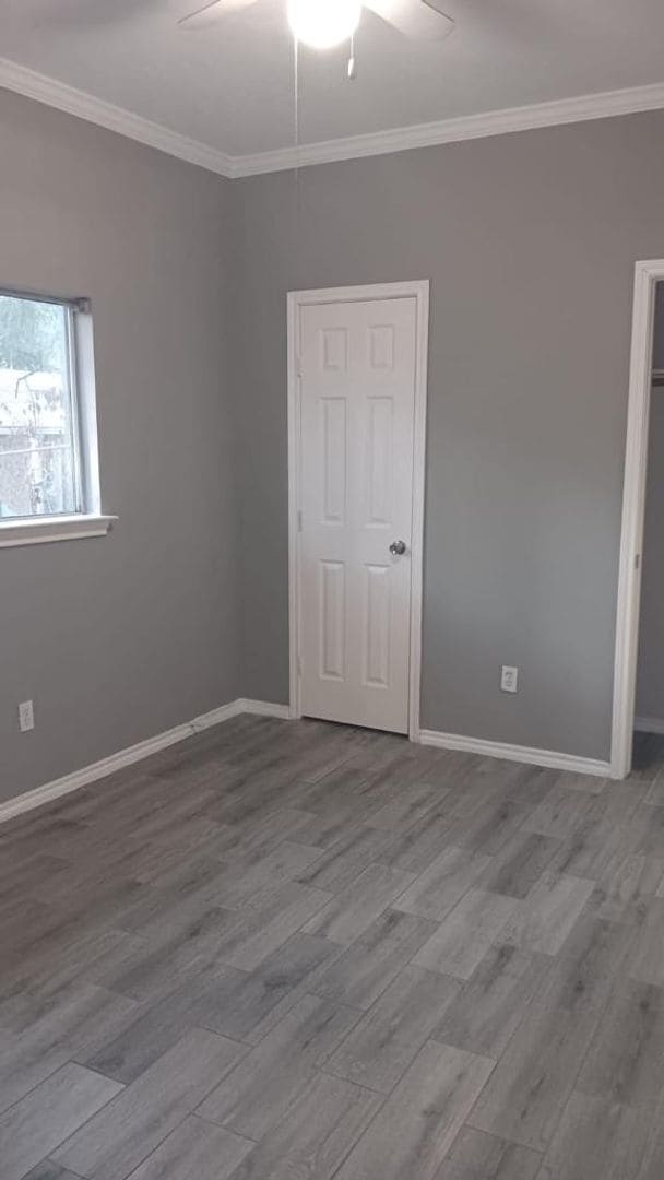 Photo - Completely Renovated House with a Forest a...
