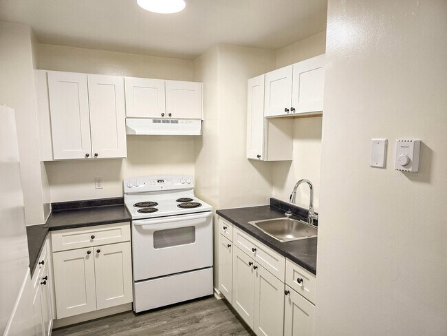 Photo - Paige & Downsview