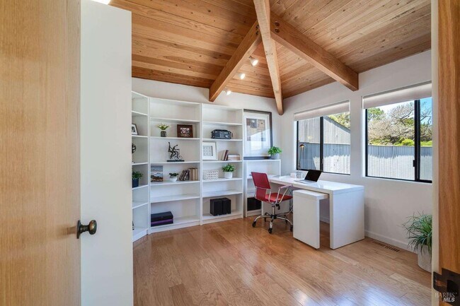 Photo - 470 Grey Whale