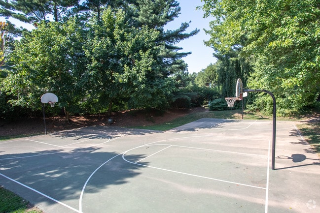 Basketball Court