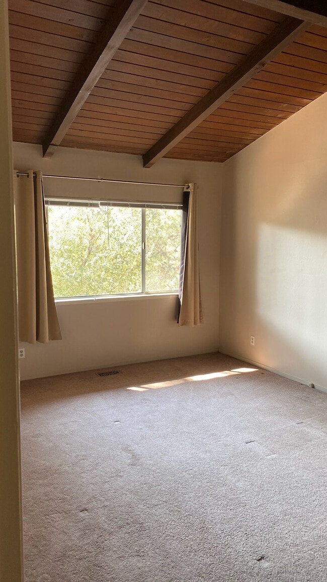 Bedroom 2: 11.5' x 17', 9' closet - 769 Pedro Ave