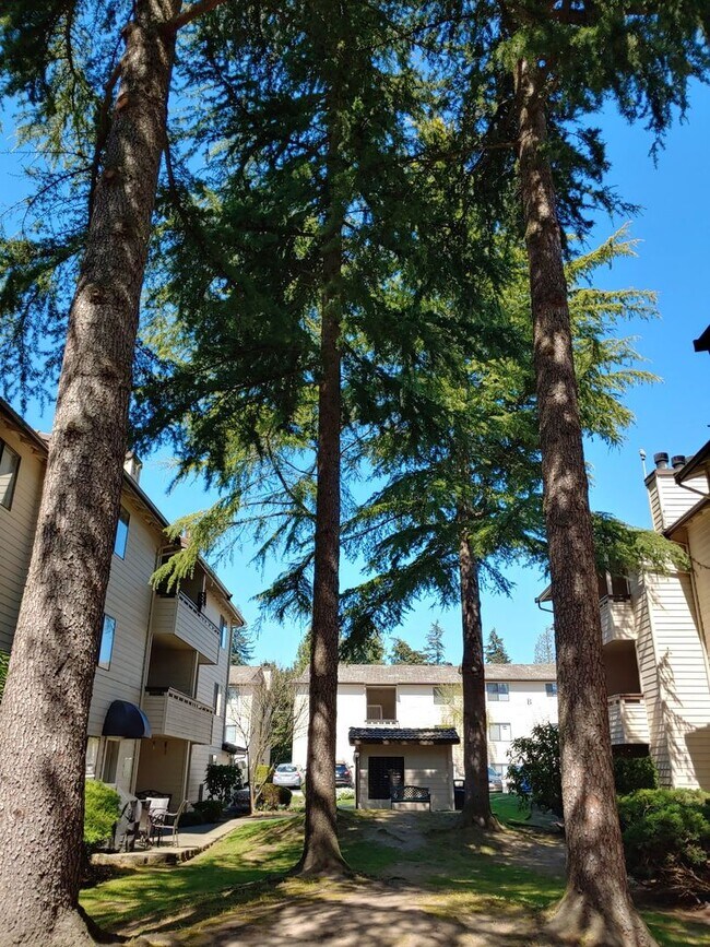 Photo - Jackson Greens