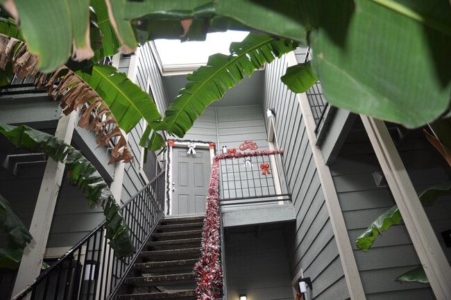 Photo - 3754 Tanglewilde St Unit C16
