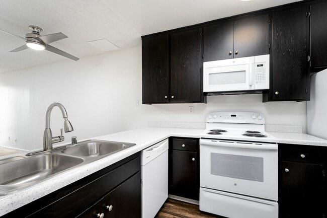 Photo - Antone Apartments