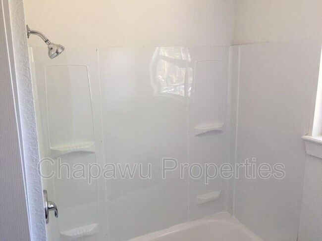 Photo - 710 Poinsettia