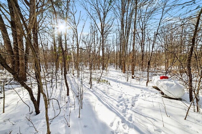 Photo - 3 Bedroom, 2 Bath Rental - $1550/month