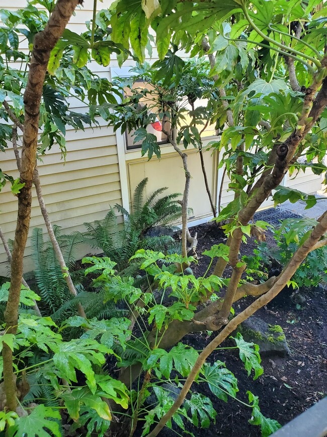 Photo - 15739 SE 175th Pl